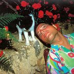 프레디 <b>머큐리</b>와 10마리의 냥이들