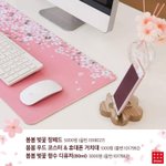 다이소 가는데 뭐살까??추천좀