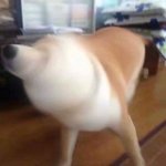 동생 진짜 집중력 꽝이다