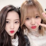 오마이걸의 톰과제리