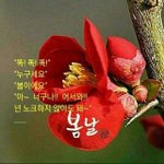 <b>봄봄</b>봄 봄이 왔어요.