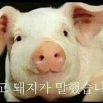 Sexy <b>back</b> 추는 방시혁