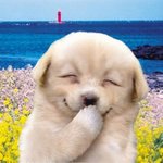 [드루와] ㅇㄴ우리학교 갑자기 반<b>배정</b> 때렷는데ㅋㅋㅋ