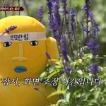 [댓글부탁해] 고2 이상 들어와서 추반 좀 해주라