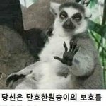[댓글부탁해] 어떤 <b>저주</b>도 통하지 않아
