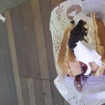 [댓글부탁해] 영어<b>문법</b>중에 도치중요해?