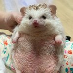 [댓글부탁해] 영어<b>문법</b>에서 도치 중요함