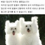 [댓글부탁해] 헬스장에서 사이안좋은 남자애만났는데