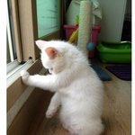 얘드라 이거 돌려 받을 수 있지? ..