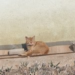 [드루와] 무신사 <b>배송</b> 말이야