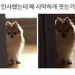 [댓글부탁해] 일본영화나 드라마 추천좀