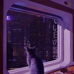 송금 하는 거 봐주라 ㅠㅠㅠㅠ