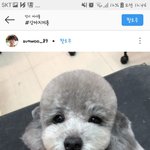 <b>꿀팁</b>)심심할때 인스타에서