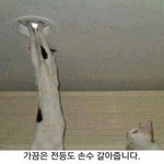 판녀들 <b>몇키</b>로야??