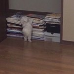 [드루와] 이거 내가 잘못한거야?