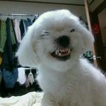 <b>내</b>가 가지고있는것에 <b>내</b> <b>모습</b>에 감사하자