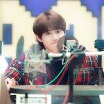 [EXO] 벱뷔걸~ 아침을 설레게하는 며닝코올~