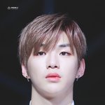 <b>주접</b>이 안 나올 수 없는 우월 유전자