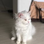 [EXO] <b>누</b>가 민석이냐