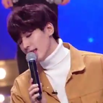 [세븐틴] 유목보 특별영상