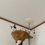 [댓글부탁해] 요즘 갖고싶은거 말해<b>보삼</b>