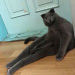 [조언부탁해] 아무나 들어와주세요ㅜㅜㅜ제발ㅠㅠㅠ