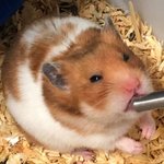 [댓글부탁해] 친구가 지 자해하던 <b>눈썹칼</b> 나 줌..