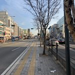 버스안에서 앞에 설대 <b>음대</b>생 탔는뎈ㅋㄲㅋ