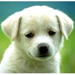 [댓글부탁해] <b>돈쓰</b>는 쓰니 있잖아 두명임