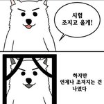 테런 조카 재밌다