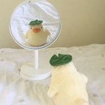 [댓글부탁해] 새학긴데 탈코도 아닌데 탈코됨...