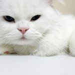 민지야 <b>니</b> <b>표정</b> 이럴듯