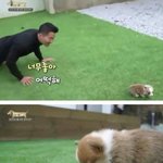[드루와] 나 방금 이상한 <b>글자</b> 발견함!!!!!!!!!