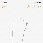 [댓글부탁해] 발레할 때 발 어떻게 하는거임???