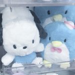 너희는 살면서 가장 <b>짜릿</b>했던 적이 언제야?