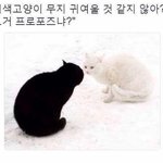 [댓글부탁해] 나 <b>이름</b> <b>개</b>특이함
