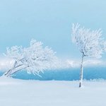 올해는 구경하기 힘들었던 <b>설경</b>