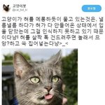 [댓글부탁해] 아파트 귀신 애니메이션 ? 아는 사람 있어 ?