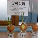 [댓글부탁해] <b>식물</b>한테 욕하기 실험