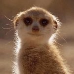 [드루와] 대체 왜 남자는 여자친구랑 <b>스킨쉽</b> 한 걸