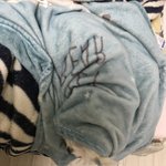 [ㅈㄱㄴ] 새학기첫날 <b>베이비</b>파우더향 뿌리면 ㅇㄸ