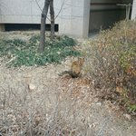 [이것좀봐줘] 고먐미의 <b>저주</b>