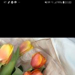 트렌치코트랑 체크<b>자켓</b> 중에 뭐살까?? 추반좀 ㅠㅠ