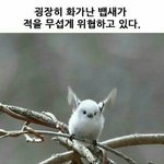 [댓글부탁해] 인천 꼴통고 전교1등은 <b>서연</b>고도 못가?