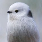 얘들아̐̈ <b>자소</b>서는 언제쓰는거야?̊̈