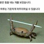 [드루와] ㄴ너네 <b>파데</b> 뭐 썽