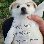 나 원래 기본카메라로 셀카찍는거 싫어했는데