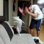 내일 <b>충치</b>치료 하러 감 ㅠㅠ