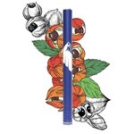 [꼭보세요] 과라나 * 이글에너지 추천