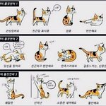 [19] 우리 아빠 너무 불쌍해..